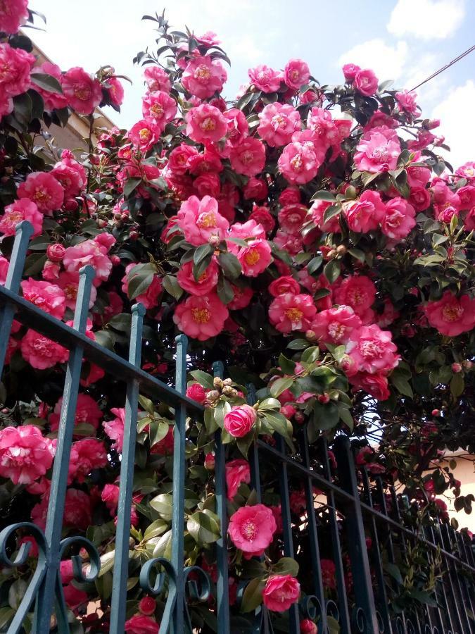 B&B Antica Corte Lombarda Mortara Exterior foto